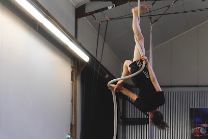 Archaos, Pôle National Cirque - Biennale Internationale des Arts du Cirque, Marseille