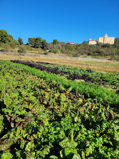 Terres d'ICI, Marseille