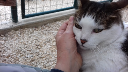 Villa Jayne ~ Pension Chats, Marseille