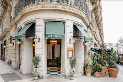 Splendido, Marseille