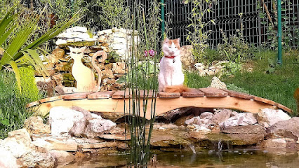 Oasis Cat, Marseille