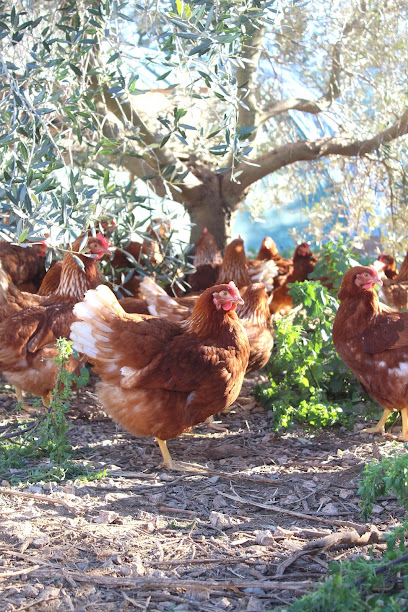 La ferme au naturel, Marseille
