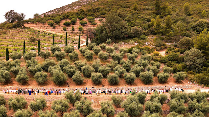 Provence Tourisme, Marseille