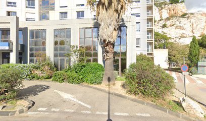 Dr Frédéric FACON, Marseille